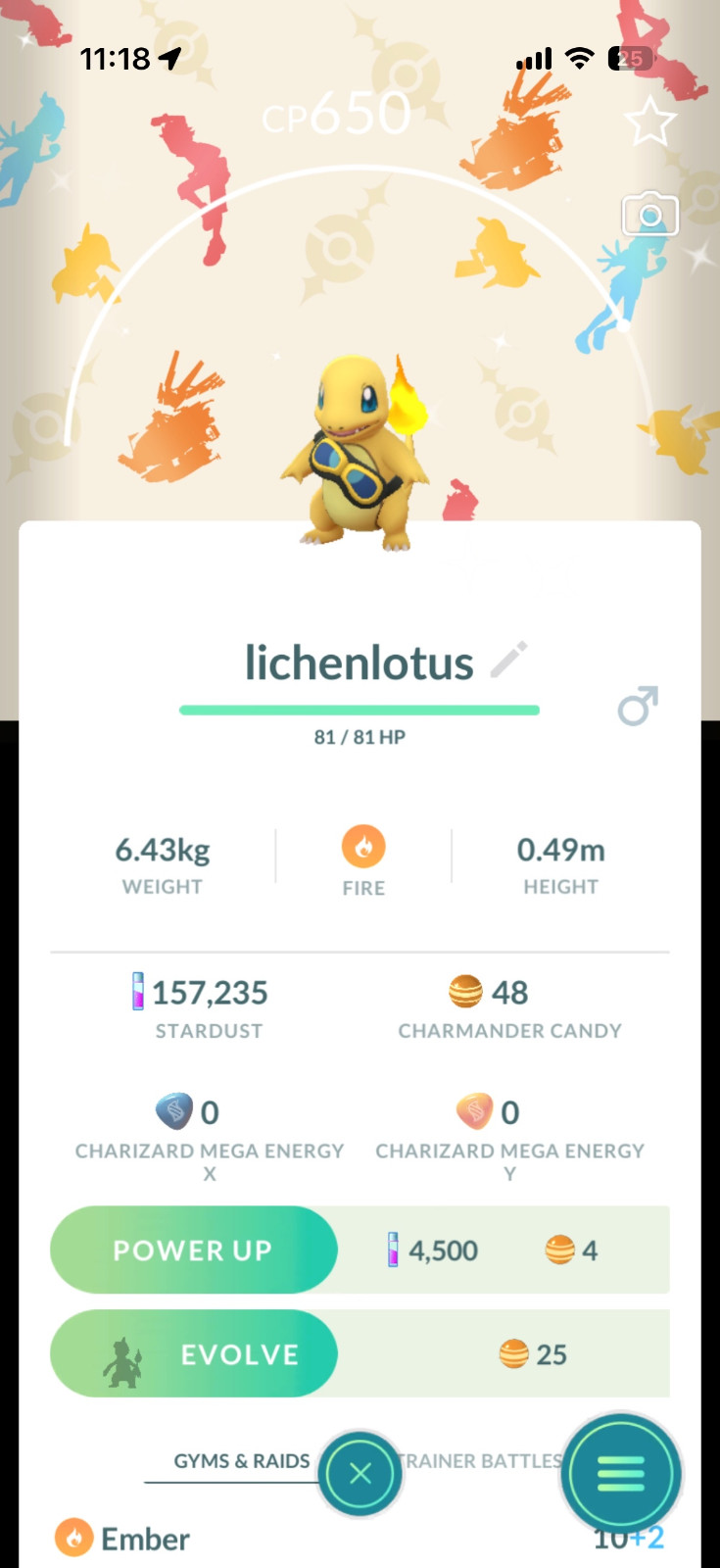 Pokémon Shiny Charmander Wearing Friede's Goggles  *2026 New Release*