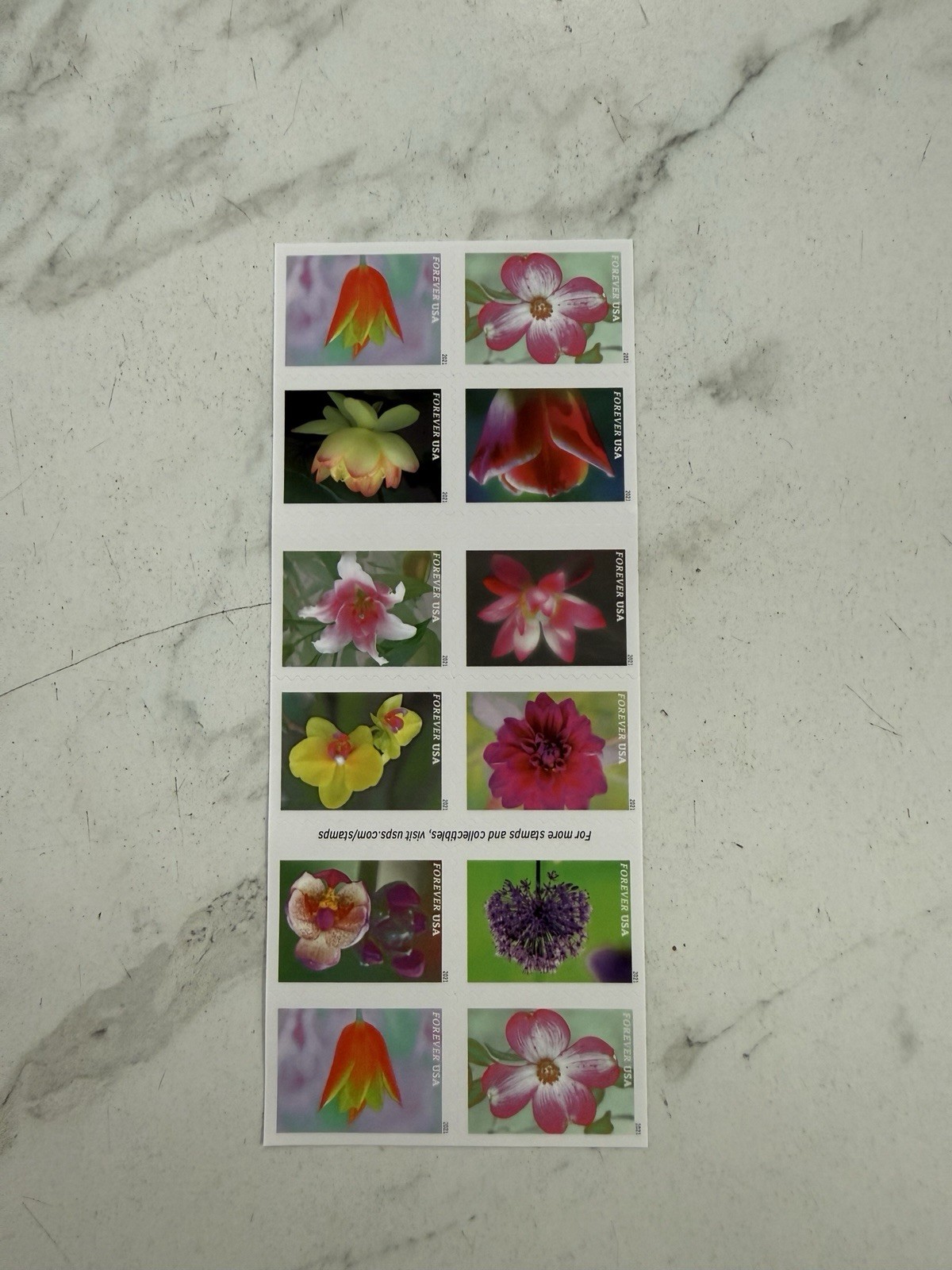 Mint US Garden Beauty Booklet Pane of 20 Forever Stamps Scott# 5567b (MNH) Mint US Garden Beauty Booklet Pane of 20 Forever Stamps Scott# 5567b (MNH)
