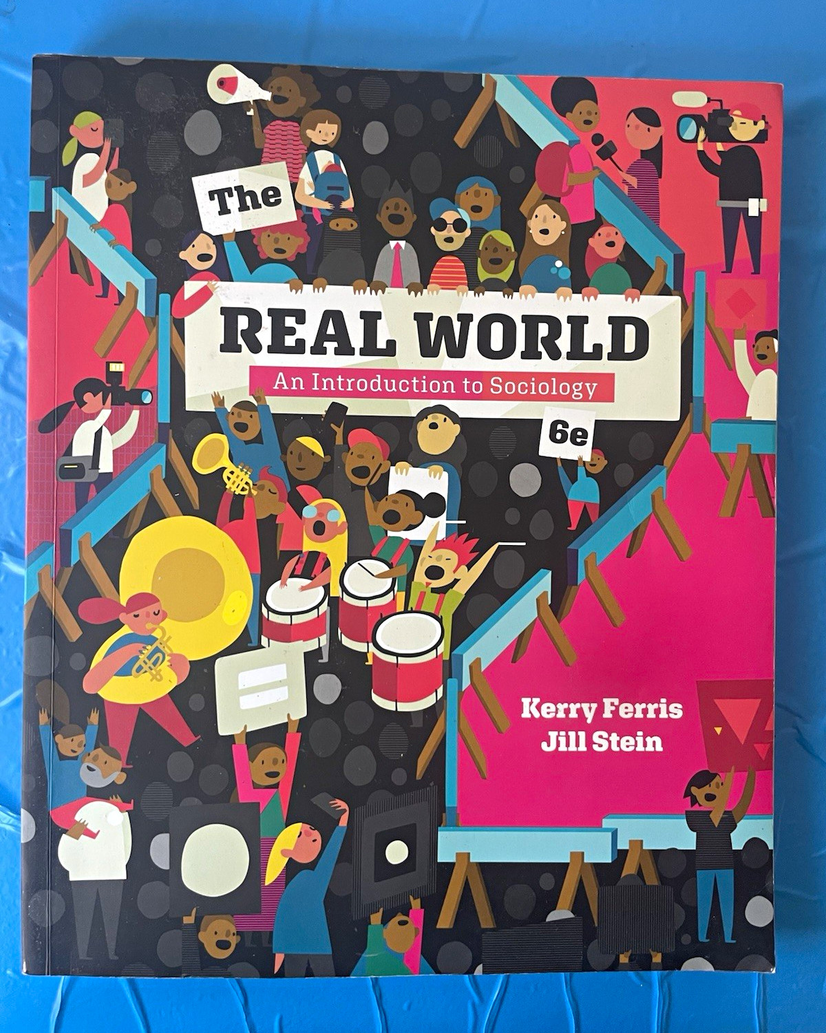 W. W. Norton The Real World: Intro to Sociology 6th Ed Ferris Stein PB 2018