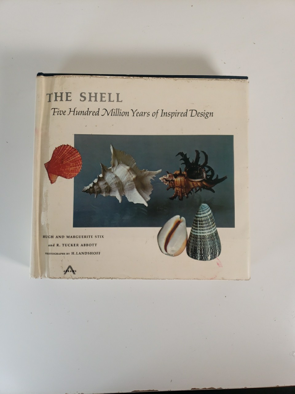 Vintage The Shell: Five Hundred Million Years Of Inspired Design - Hardcover Vintage The Shell: Five Hundred Million Years Of Inspired Design - Hardcover