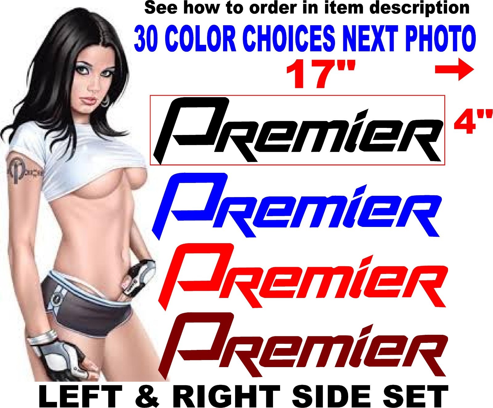 PREMIER Boat PONTOON decal boats decals REPLACEMENT WINDOW 30 color choices