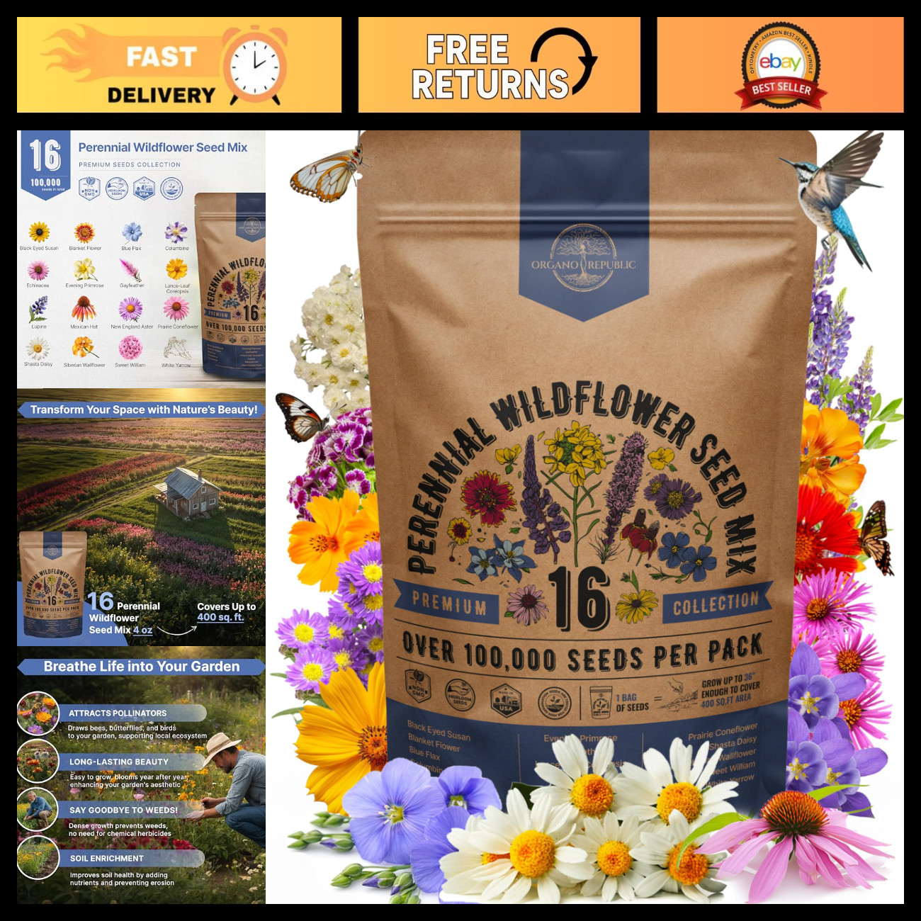 16 Perennial Wildflower Seed Mix - Non-GMO, Heirloom, 4oz for Indoor & Outdoor G