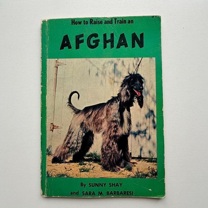 1958 How to Raise and Train an Afghan Hound Vintage Dog Book Sunny Shay TFH