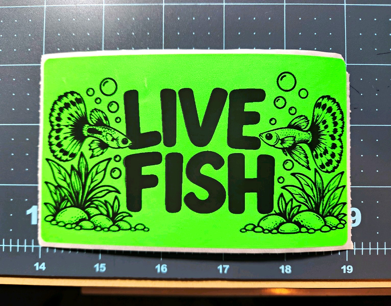 LIVE FISH Green/Black Shipping Label Sticker Pack Of 30