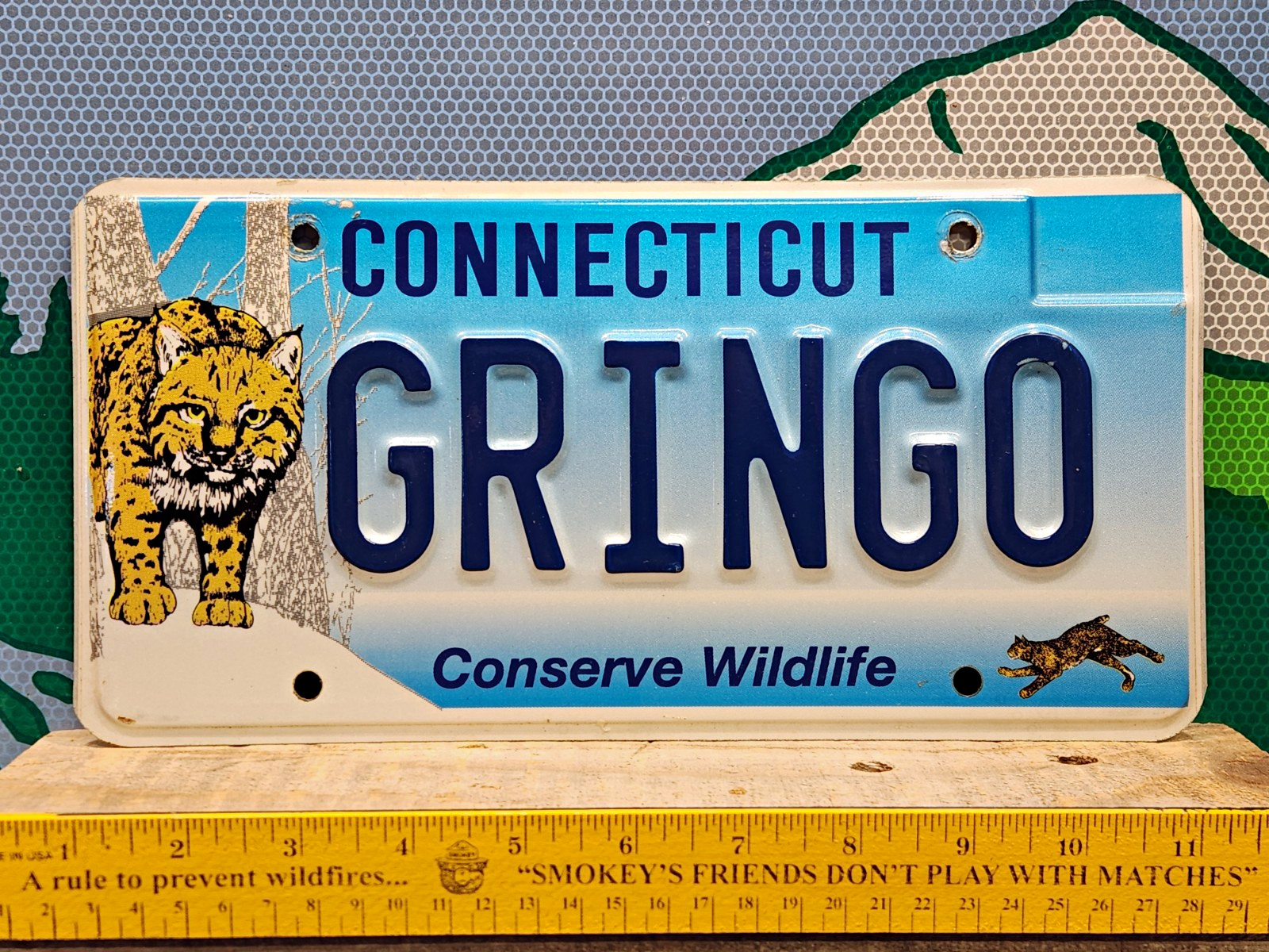 Rare Connecticut Vanity License Plate GRINGO Conserve Wildlife Bobcat White Guy Rare Connecticut Vanity License Plate GRINGO Conserve Wildlife Bobcat White Guy