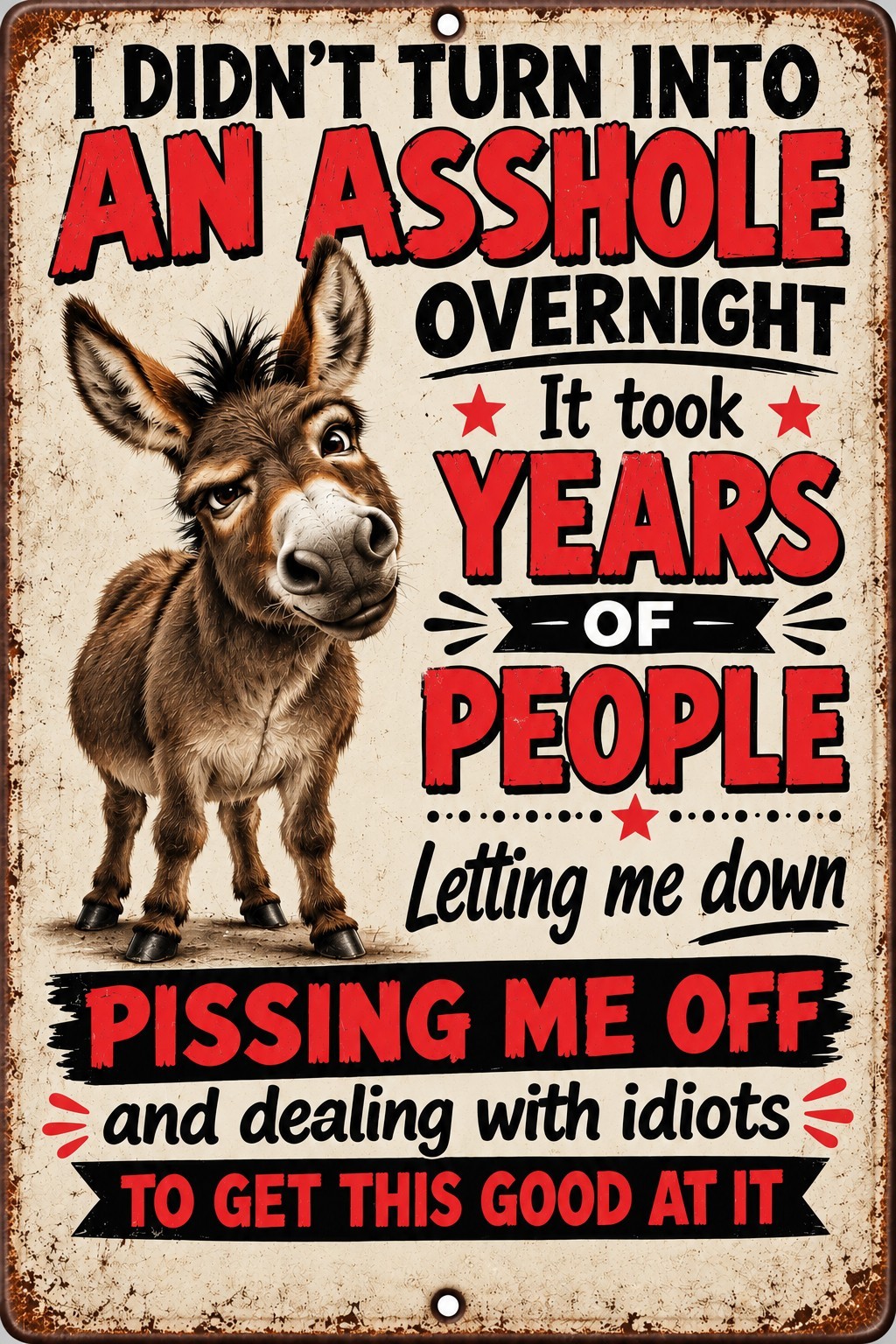Sarcastic Donkey Sign I Didn’t Turn Into This Overnight Funny 8x12 Metal Sign