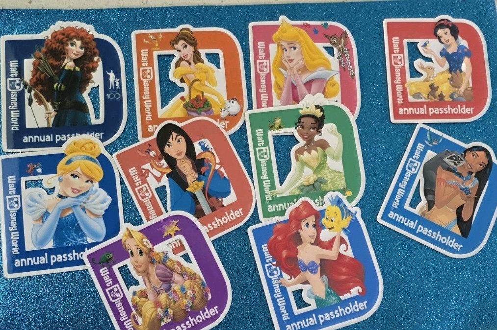 Disney Annual Pasholder Magnets 2025 The Princess , 10 magnets (homemade) Disney Annual Pasholder Magnets 2025 The Princess , 10 magnets (homemade)