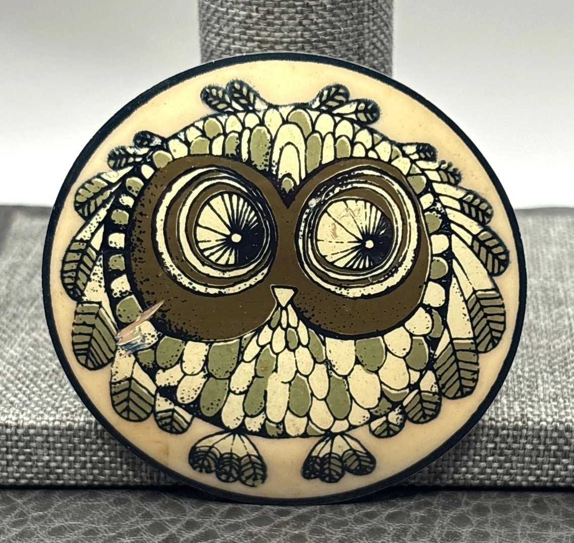 VTG Made In France Large Owl Painted Brooch Resin Modernist MCM Trombone Clasp