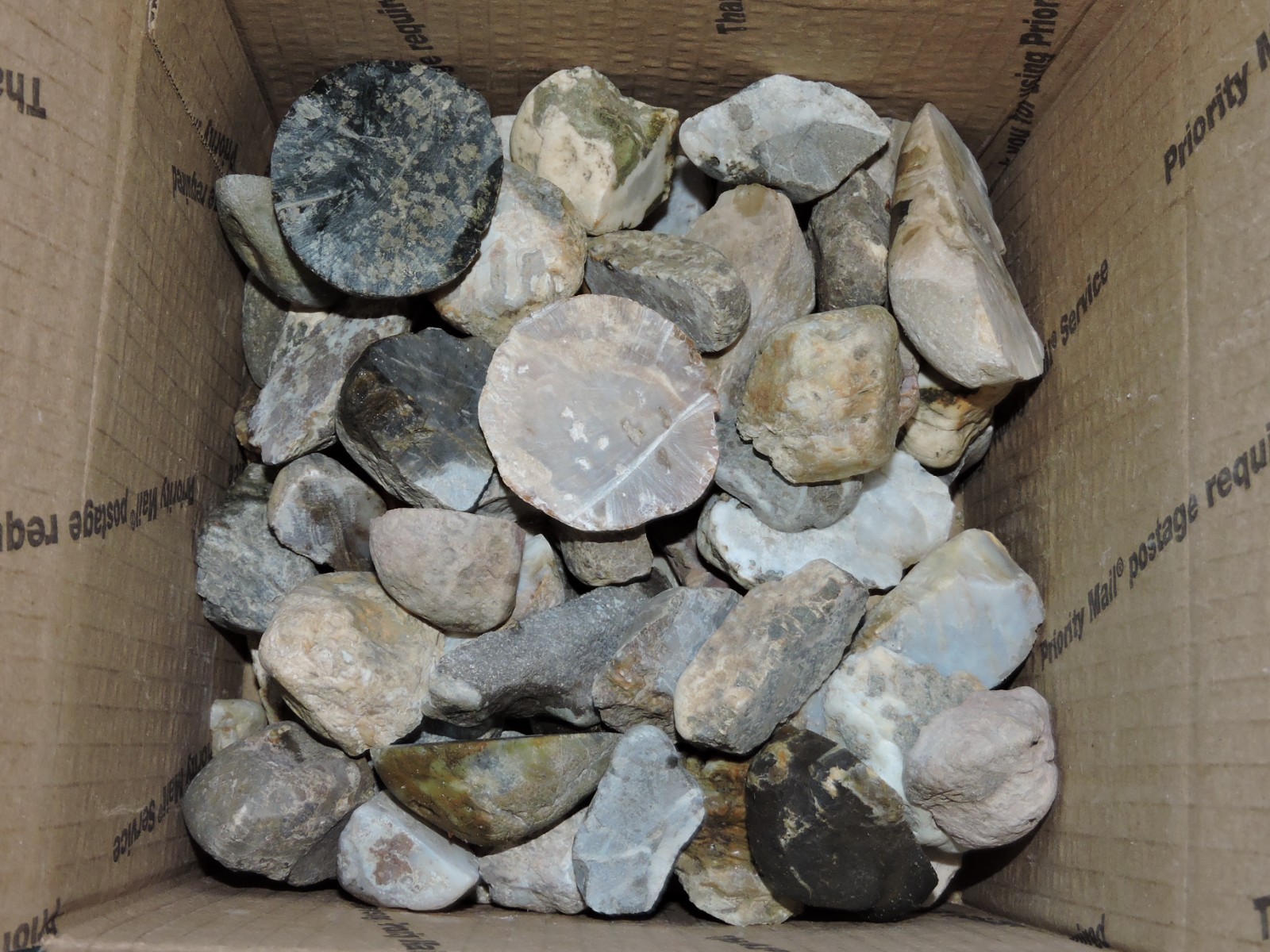 Lot of CUT MIXED STONE NODULES from PNW (7.9Lb) LAPIDARY SPECIMENS Lot of CUT MIXED STONE NODULES from PNW (7.9Lb) LAPIDARY SPECIMENS