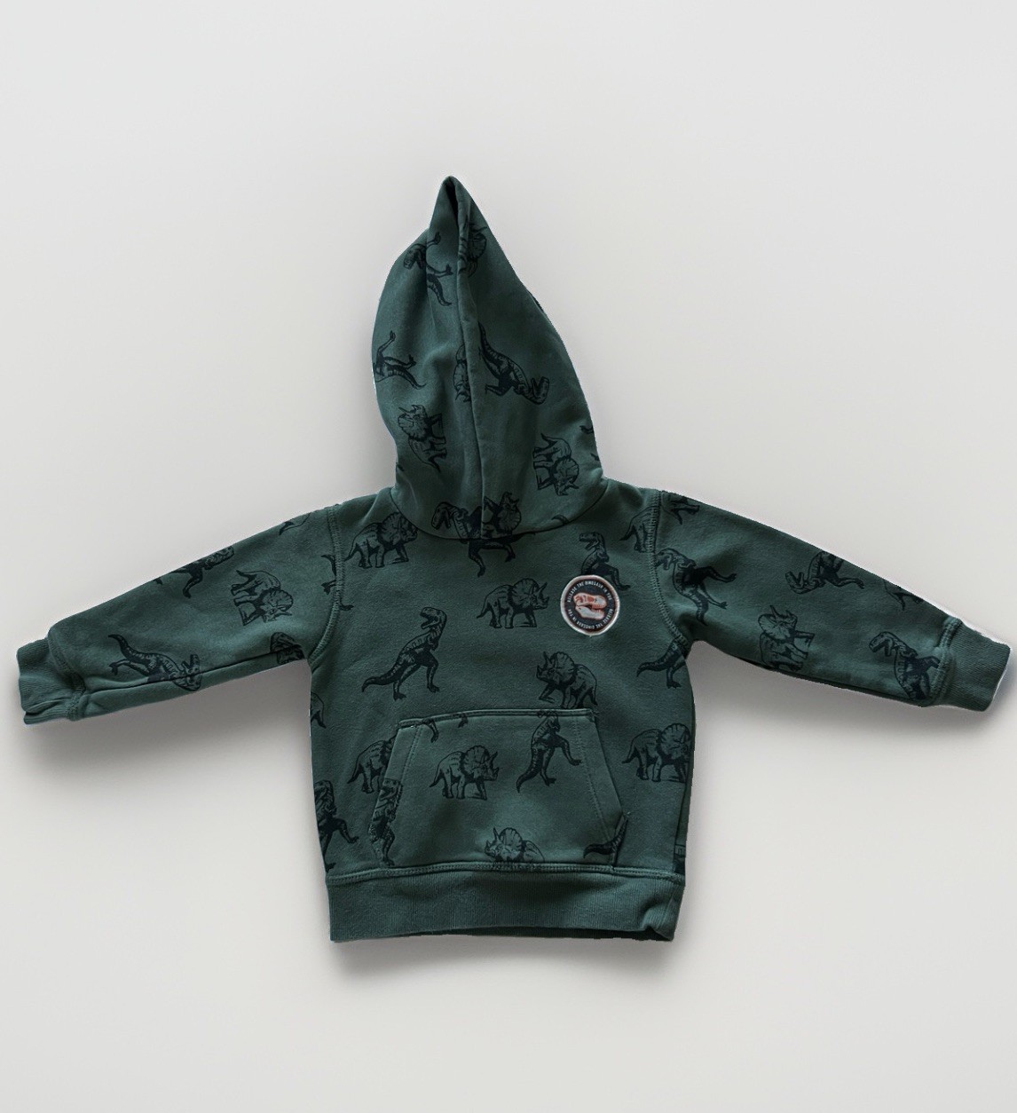 H&M Toddler Dinosaur Print Hoodie Size 2T Green Pullover Sweatshirt