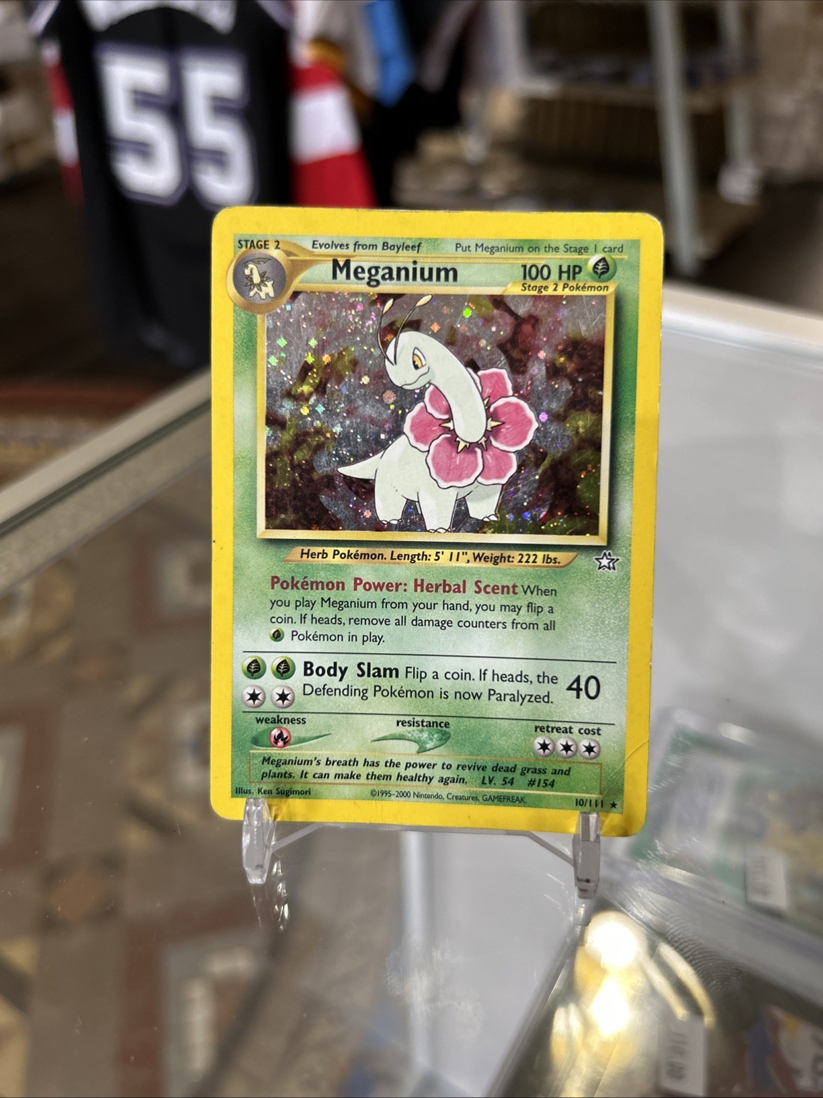 Meganium 10/111 Pokémon Neo Genesis Holo Rare English Stage 2 HP 100 MP Meganium 10/111 Pokémon Neo Genesis Holo Rare English Stage 2 HP 100 MP
