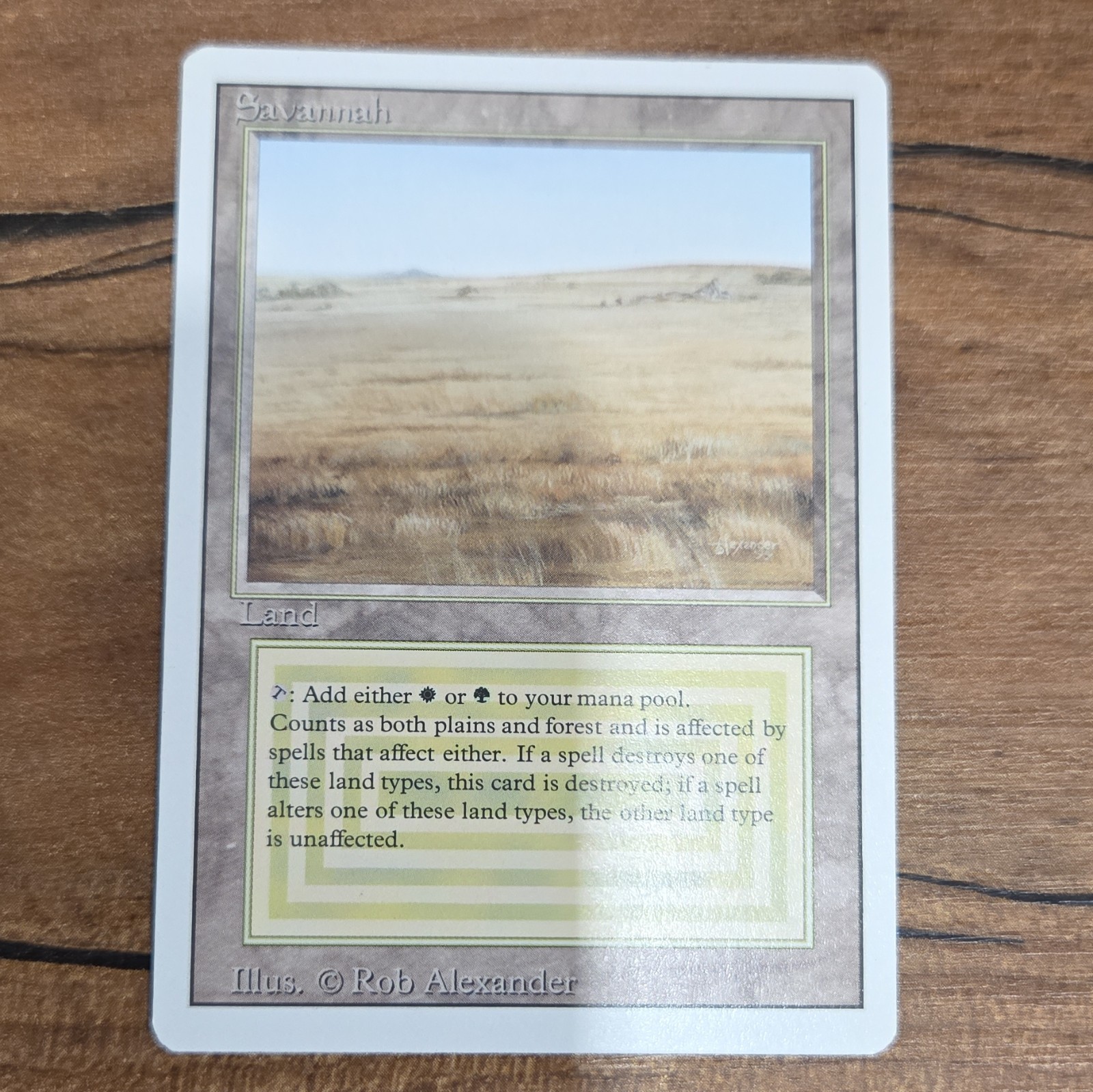 Wizards of the Coast MTG Savannah Revised Edition Rare Regular Land English