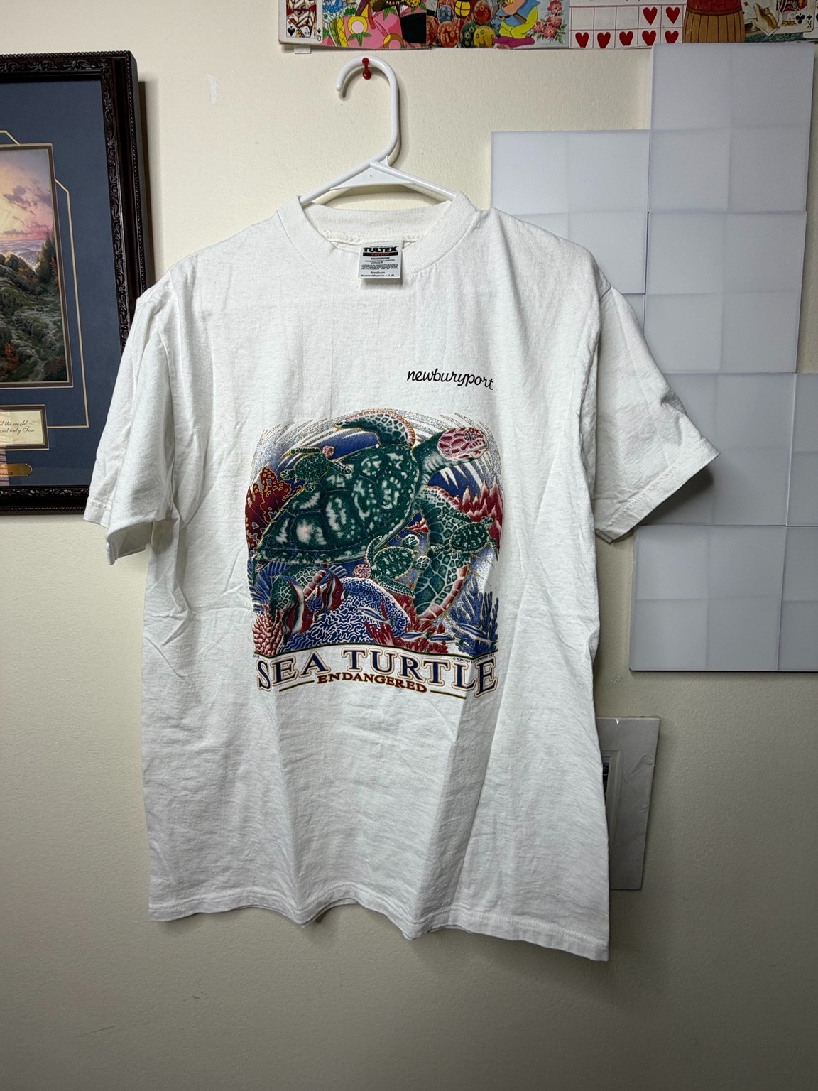 Vintage Newburyport Endangered Sea Turtle T-Shirt Tultex USA Size M 