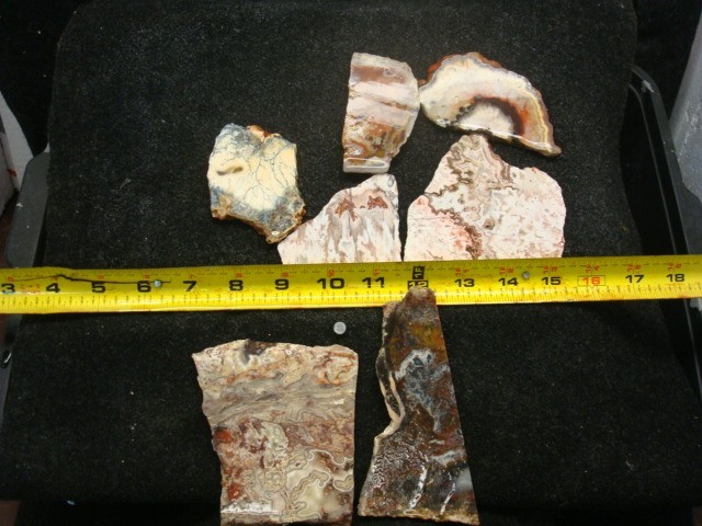 7 slabs 1 is from north dakota 6 unknown 7 slabs 1 is from north dakota 6 unknown