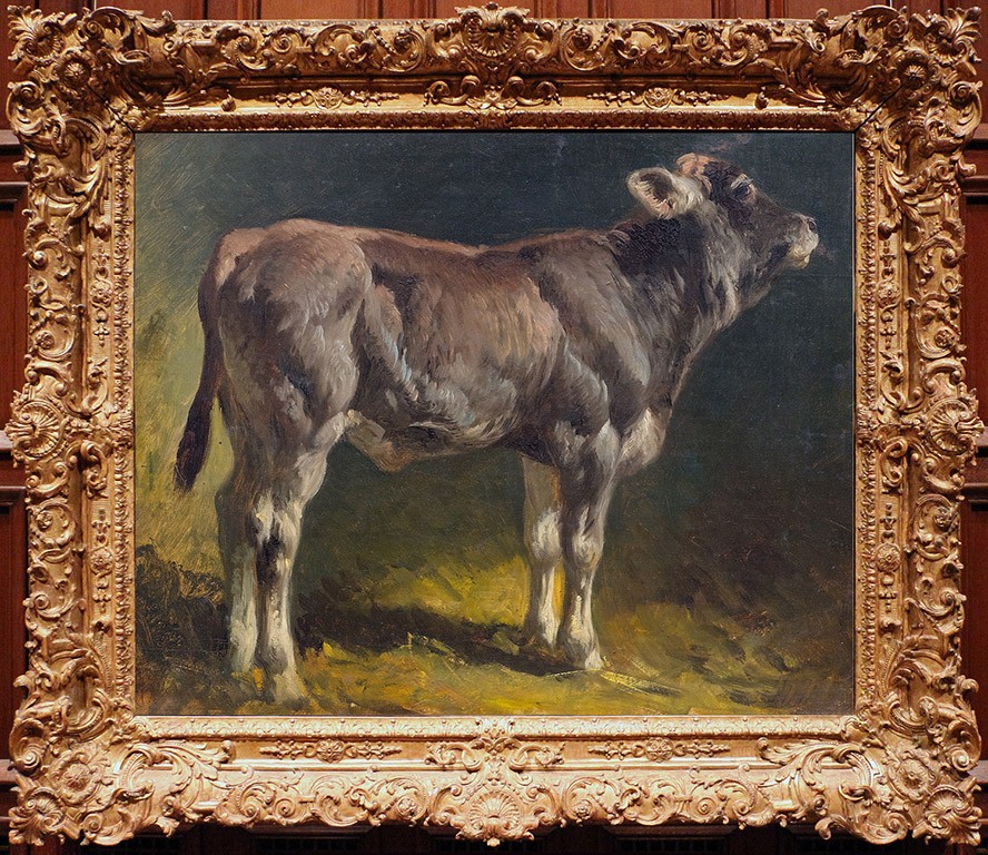 Hand Painted Oil Painting Portrait of Cow Dark Background Animal Canvas Wall Art