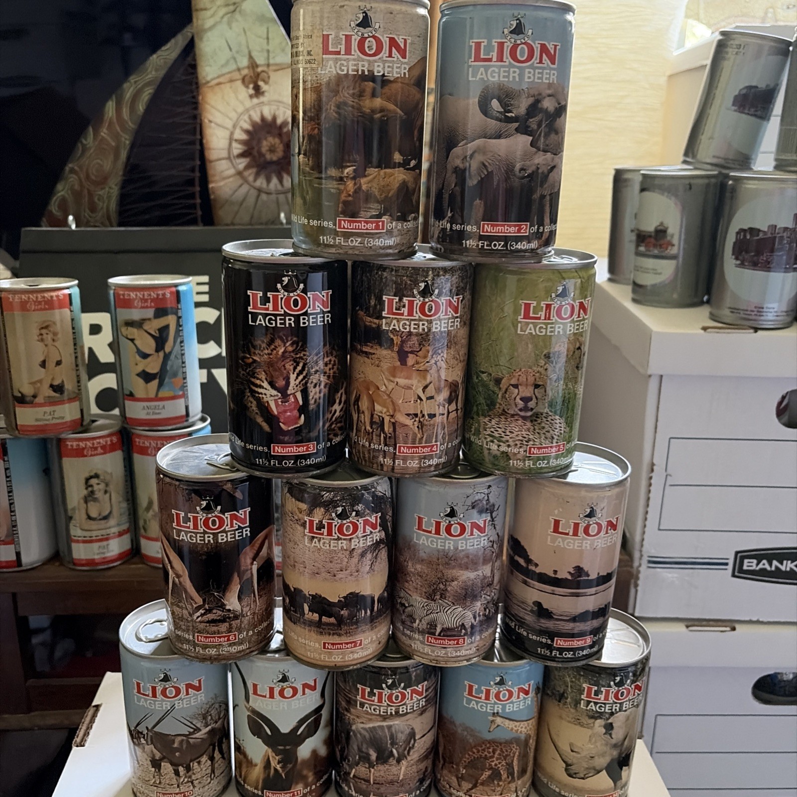 VTG South Africa Lion Lager Beer Cans Set 14 Bottom Opened Pristine Pull Tabs