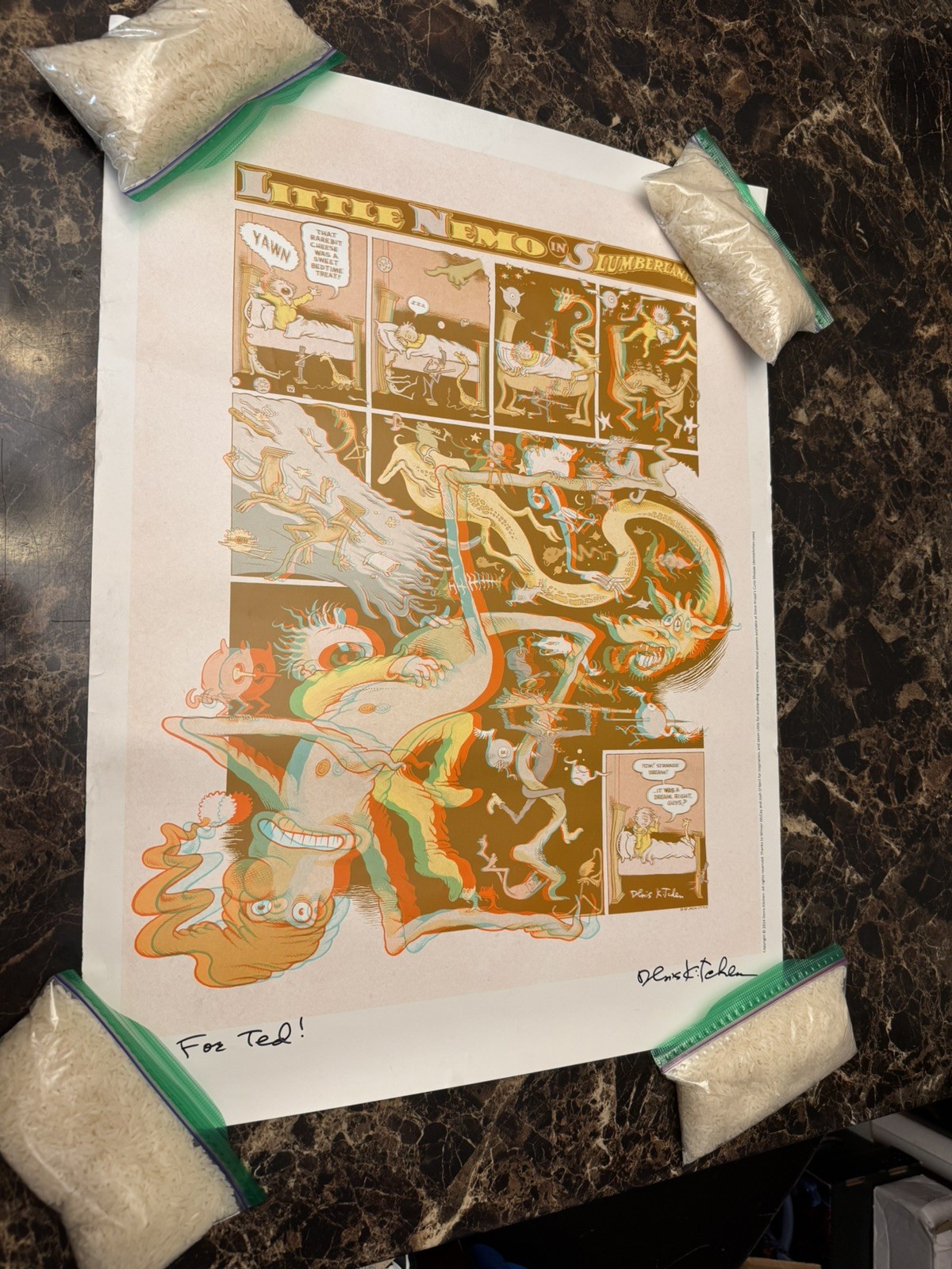  Little Nemo in Slumberland Denis Kitchen Signed Limited 3D Print🔥