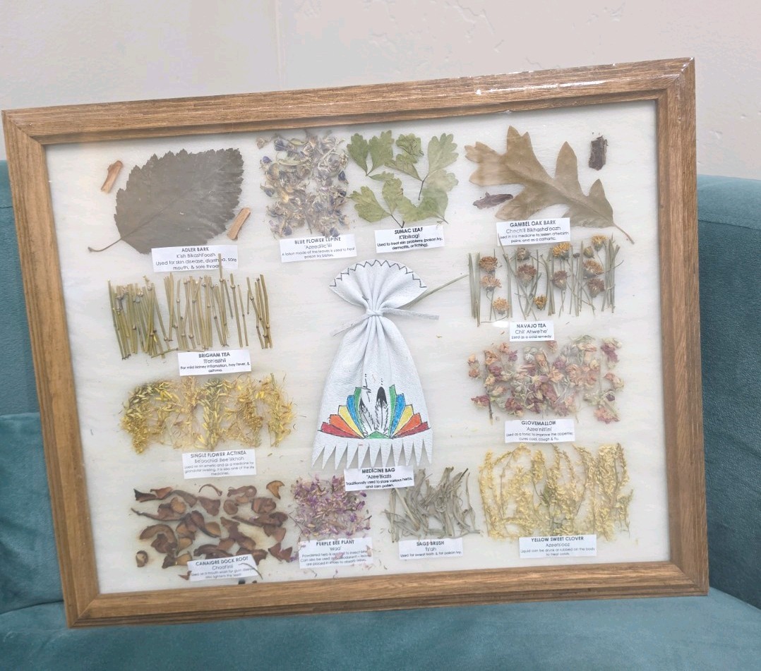 Vtg Navajo Medicine Chart Arletta Henderson Native American Herbal  15.5x12.5