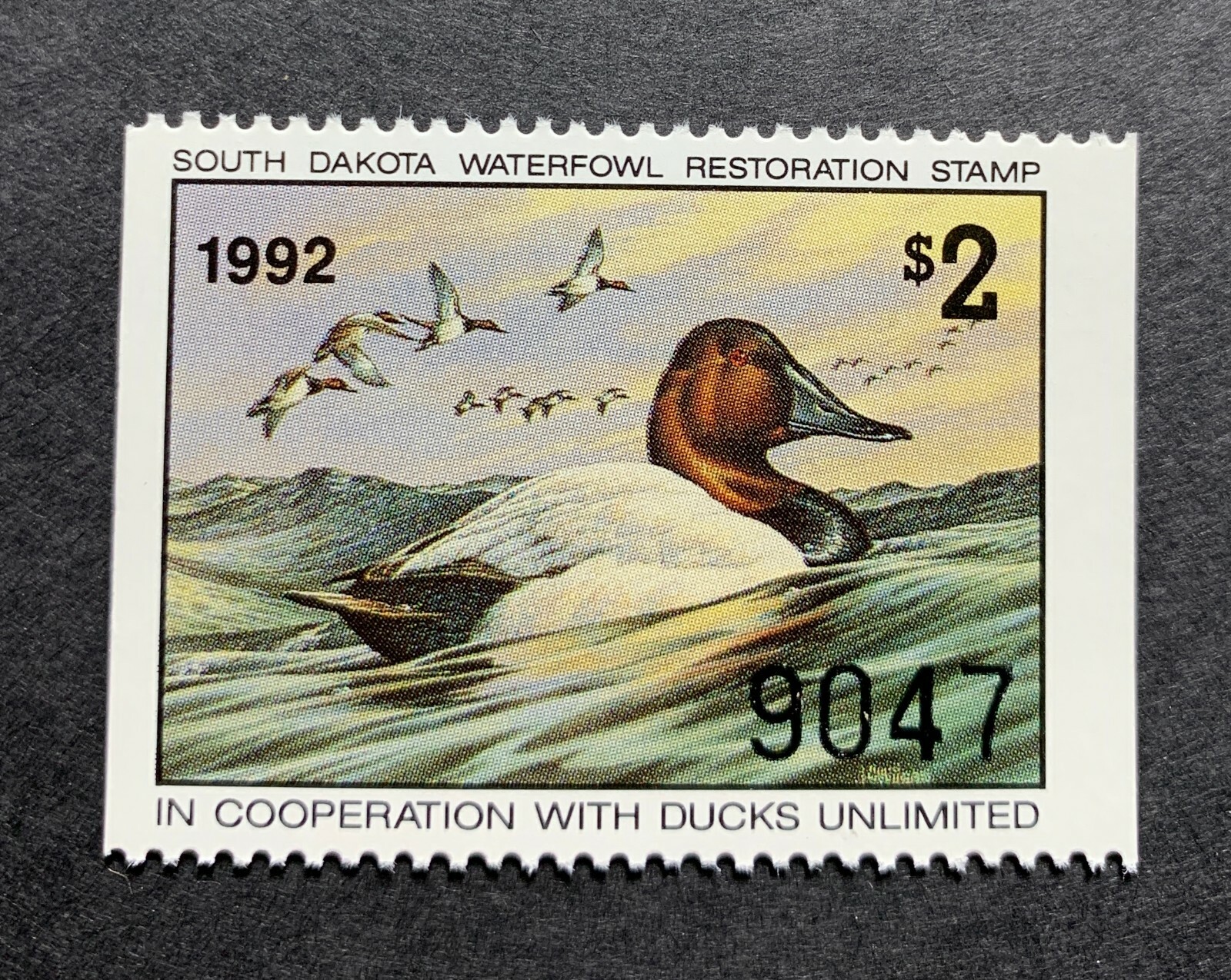 WTDstamps - 1992 SOUTH DAKOTA - State Duck Stamps - Mint OG NH WTDstamps - 1992 SOUTH DAKOTA - State Duck Stamps - Mint OG NH