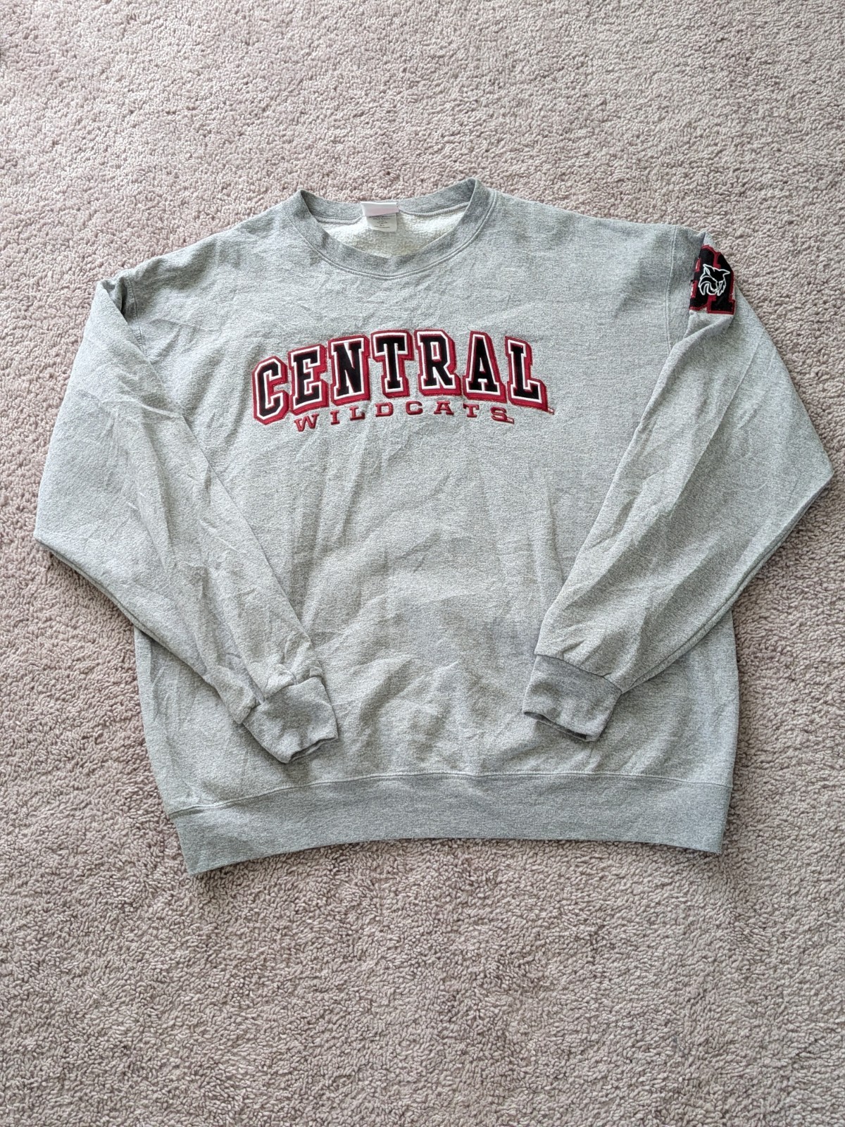 Champion Central Washington Wildcats Sweatshirt Mens XL Gray NCAA Football Champion Central Washington Wildcats Sweatshirt Mens XL Gray NCAA Football