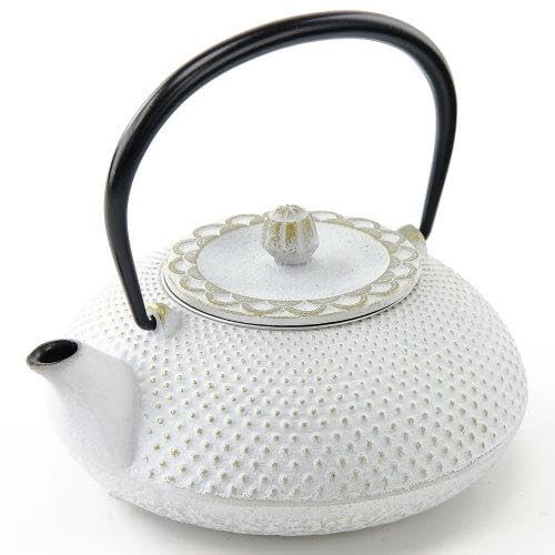 [OITOMI] [Authentic] Nanbu Ironware [Nanbu Hoshodo OITOMI] Reiwa Arare Teapot