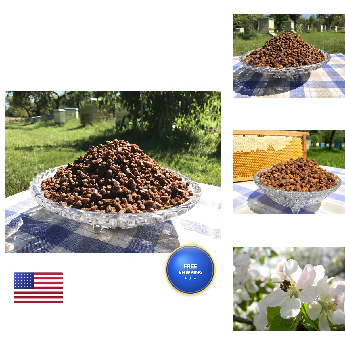 100% Organic Bee Bread Perga Ambrosia Naturally Fermented Pollen 1.76 oz 50g
