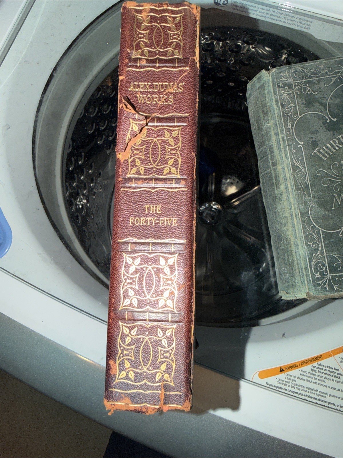 THE FORTY-FIVE,  ALEXANDER DUMAS, leather, Illustrated,  Book