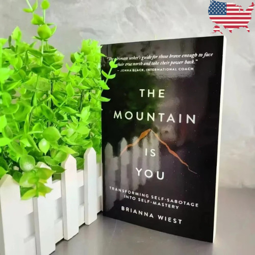 The Mountain Is You: Transforming Self-Sabotage into Self-Mastery English Books