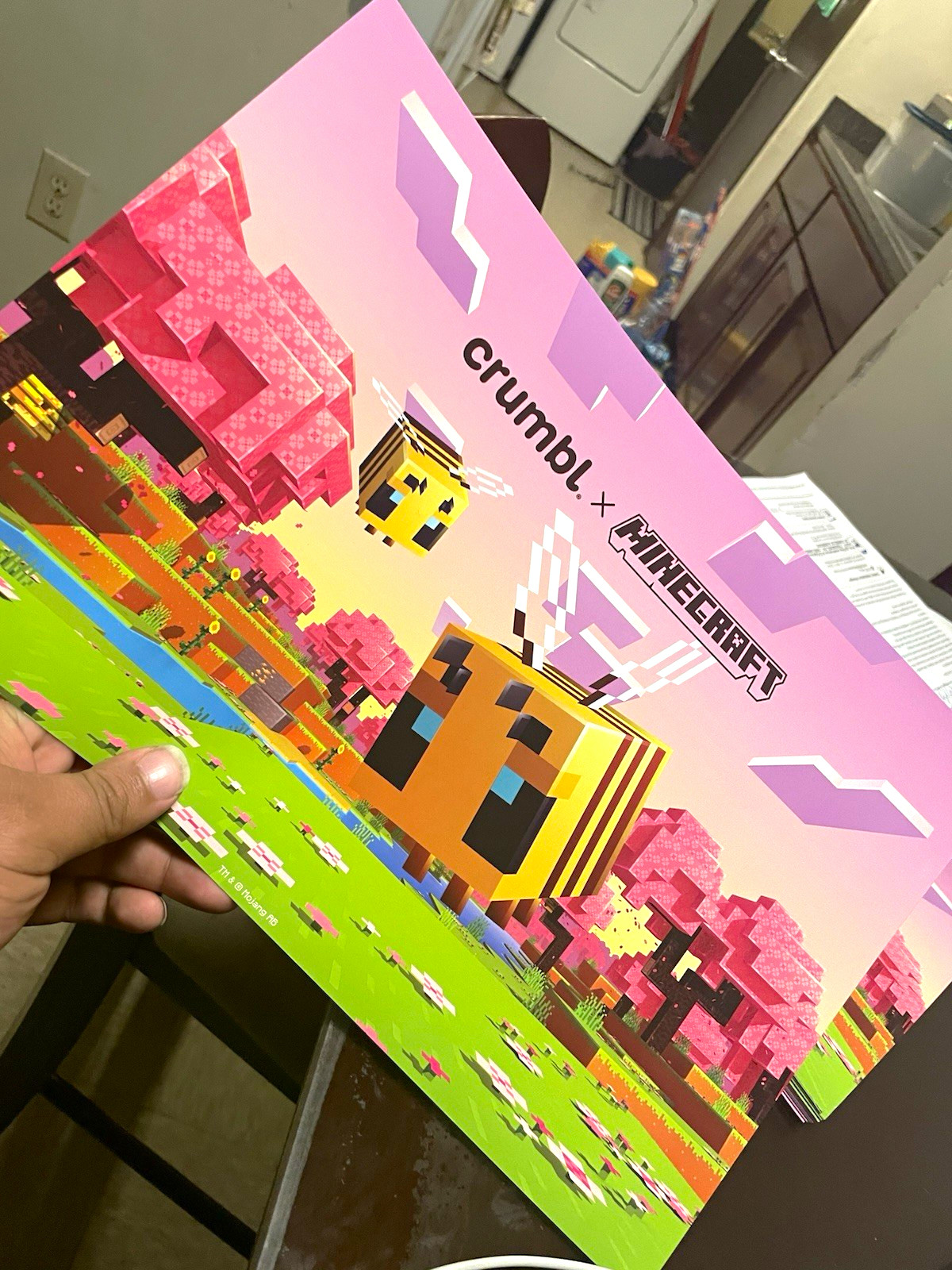 New sealed Crumbl x minecraft poster New sealed Crumbl x minecraft poster