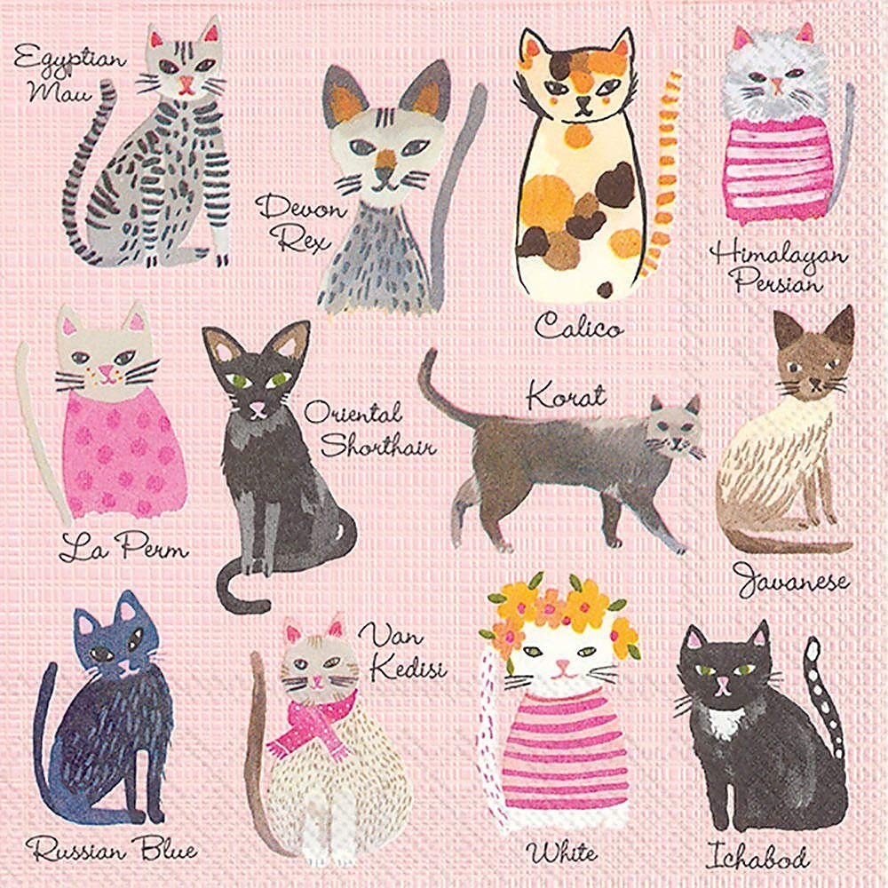 Boston International IHR Cocktail Beverage Paper Napkins 5 x 5 Cool Cats