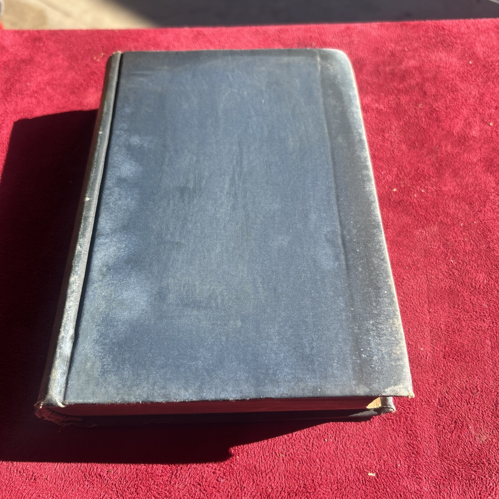 Cosmos And Diacosmos, Denton J. Snider, 1909 Original Rare Find. Occult, Science