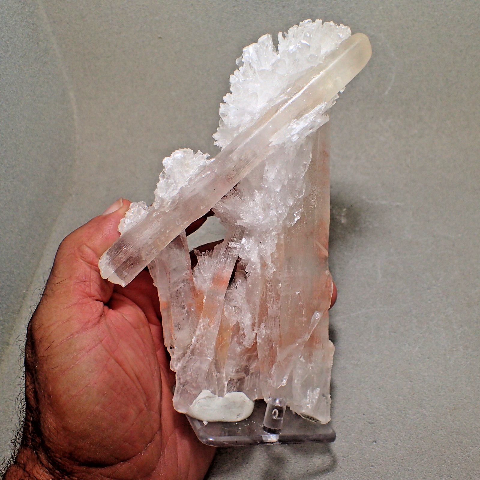 Selenite, Cave of the Swords, Chihuahua, Mexico Ex. Edward E. David Collection Selenite, Cave of the Swords, Chihuahua, Mexico Ex. Edward E. David Collection