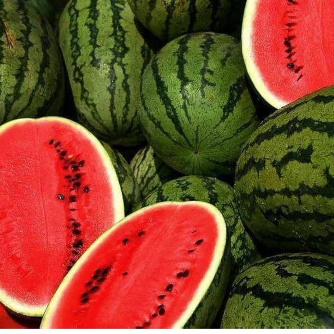 Jubilee Improved Watermelon 25+  Seeds | Heirloom / Non-GMO | Free S&H