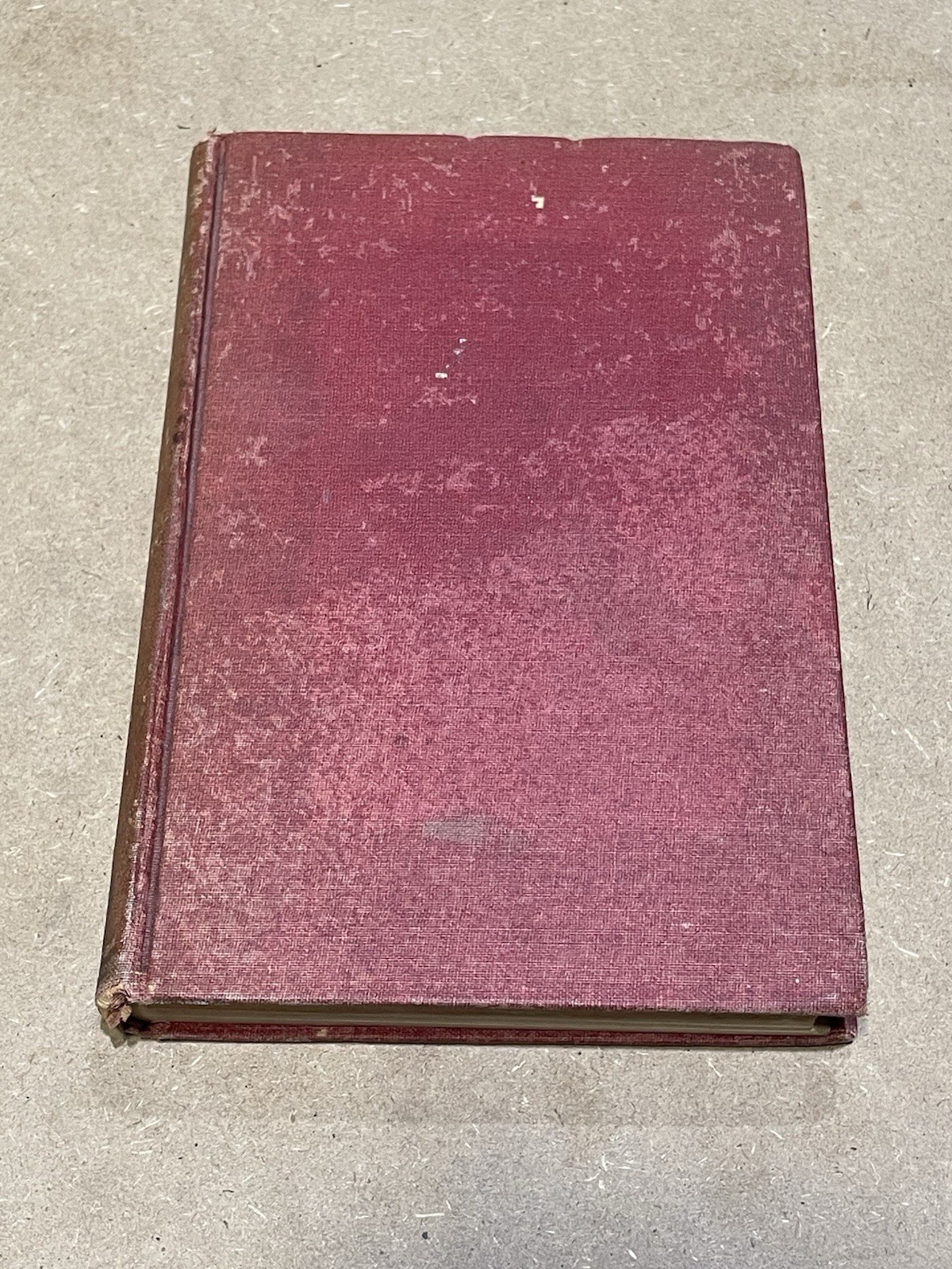 THE MURDERS IN THE RUE MORGUE AND OTHER TALES. By EDGAR ALLAN POE, Circa 1900