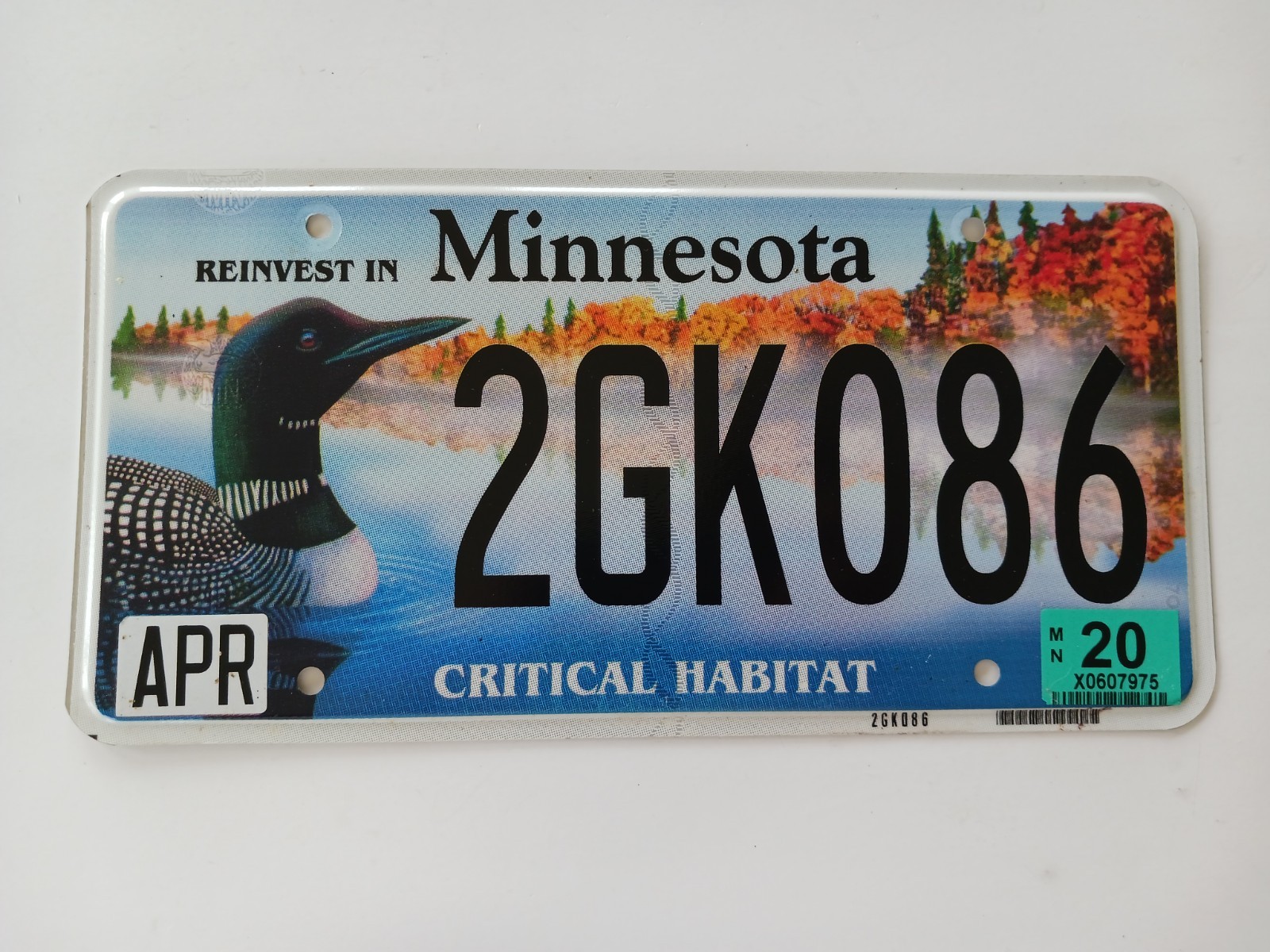 2020 Reinvest In Minnesota Critical Habitat Loon License Plate 2GK086 2020 Reinvest In Minnesota Critical Habitat Loon License Plate 2GK086