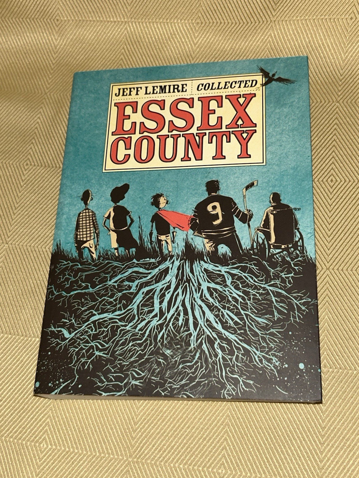 Essex County Collected Edition Jeff Lemire Top Shelf Paperback - Excellent++ Essex County Collected Edition Jeff Lemire Top Shelf Paperback - Excellent++