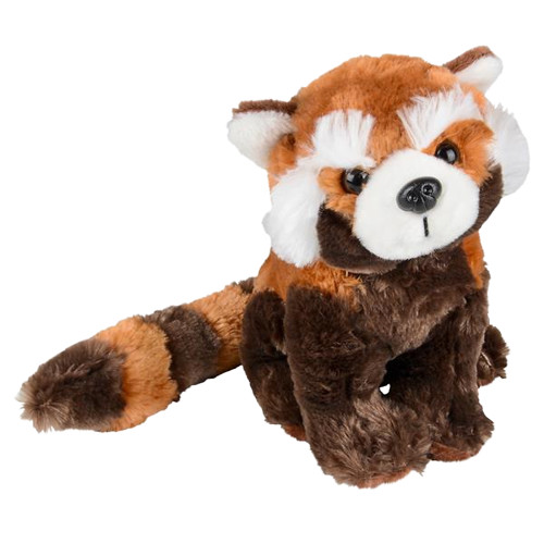 New Red Panda 8\