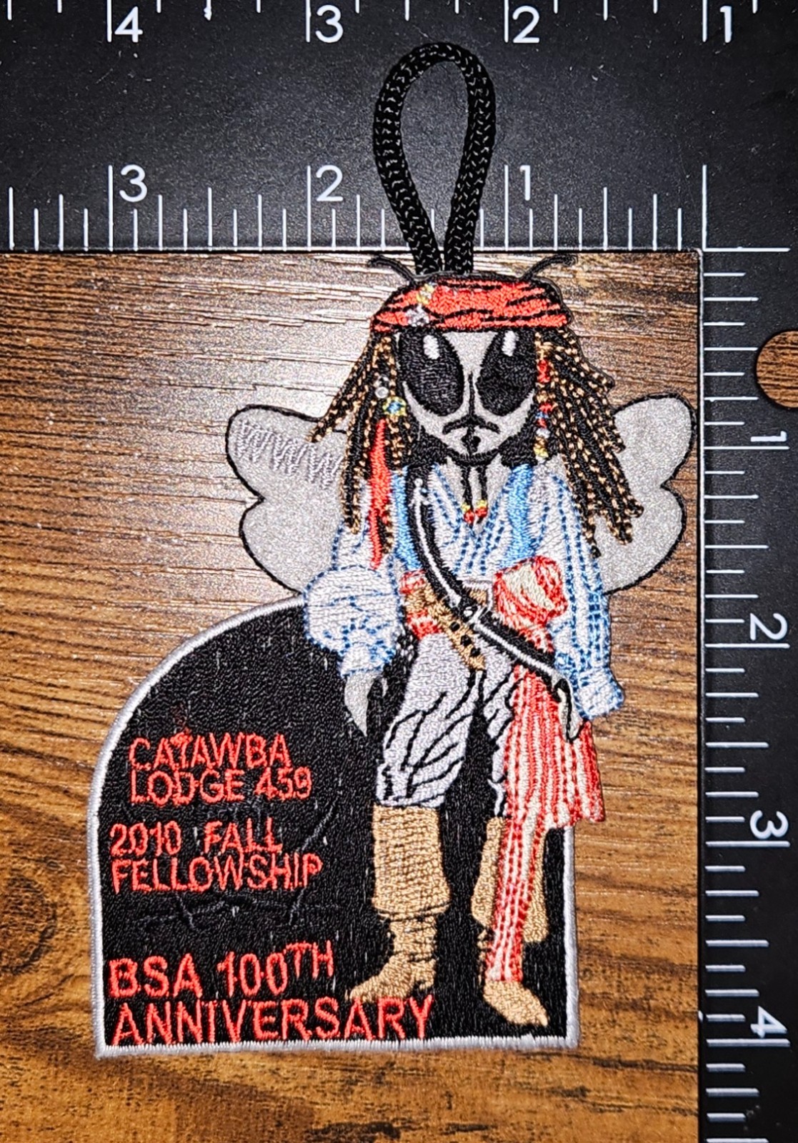 Catawba Lodge 459 2010 Fall Fellowship BSA 100th Anniversary Insect Patch