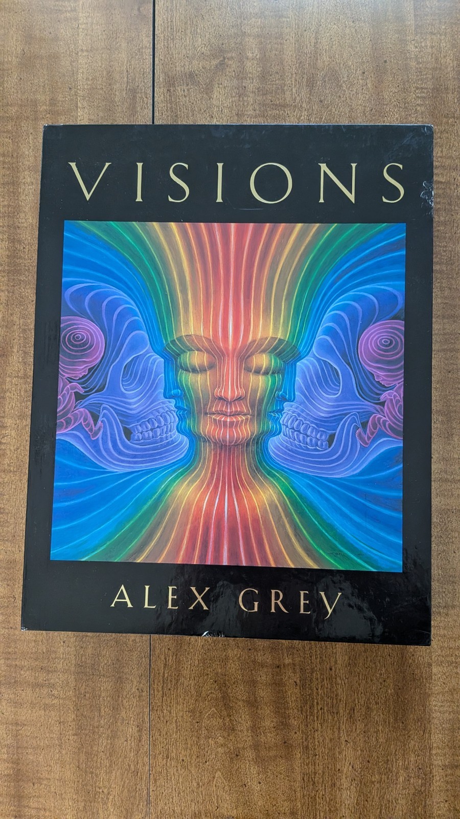 Rare VISIONS Alex Grey Ltd Ed 2003 Encased Set 2 Hardcover Books + 6 Art Prints