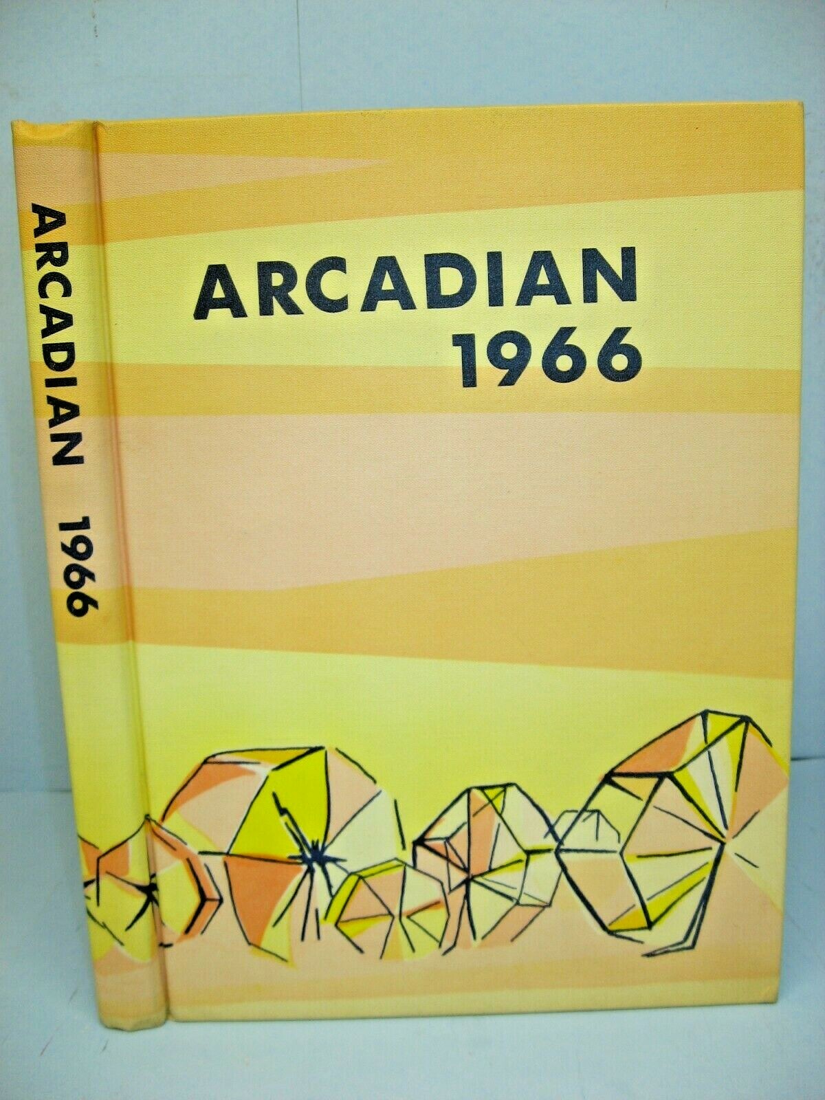 1966 Arcadian, Newark Central High School, Newark, New York Yearbook