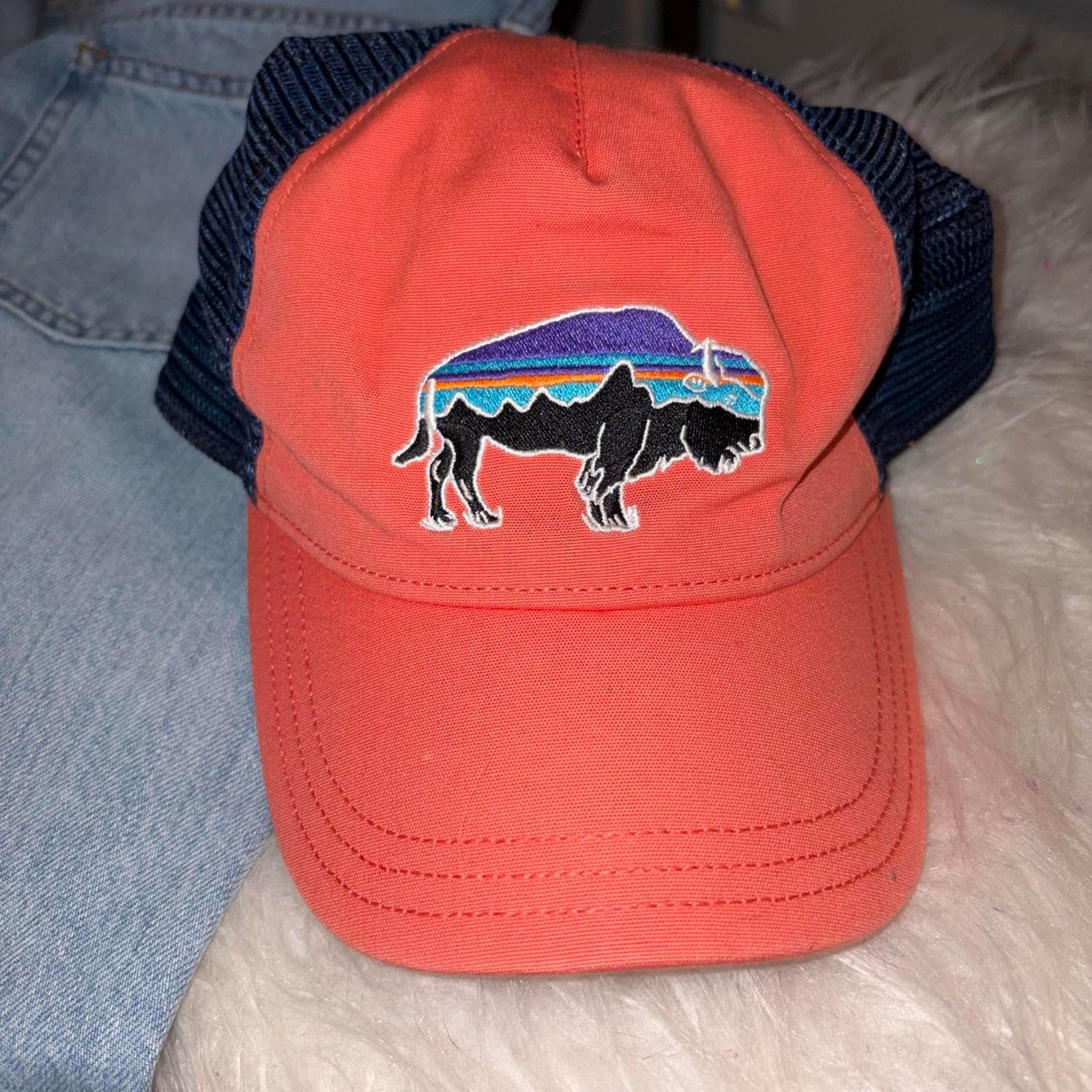 Orange and blue patagonia bison