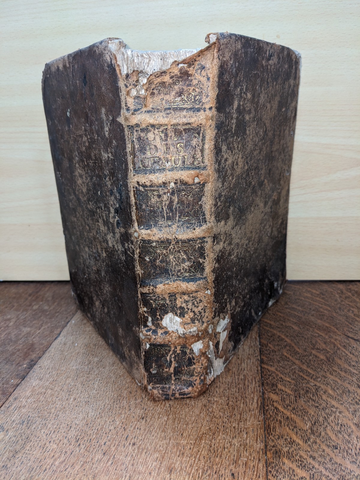 antique book-Journal of Illustrious Religious of the Order of St. Ursula T4-1690