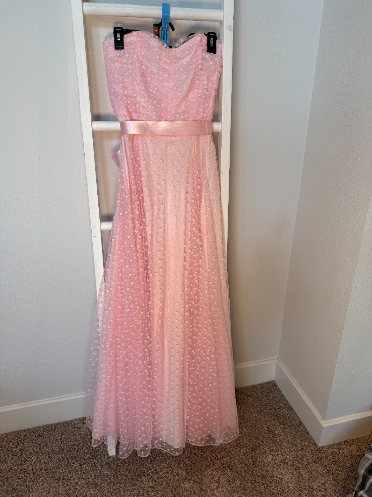 Vintage 1983 Roberta of California Pink Swiss Dot Prom Dress Juniors Size 13/14