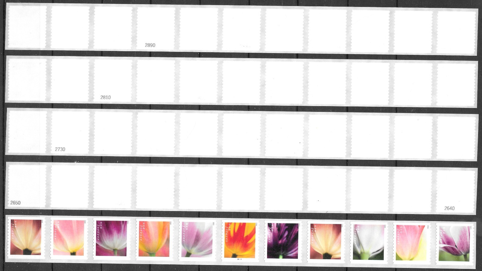 Scott #5776a 2023 (63c) Tulip 3K Coil Back # Set 10 PNC11, Plate B1111 MNH F-VF