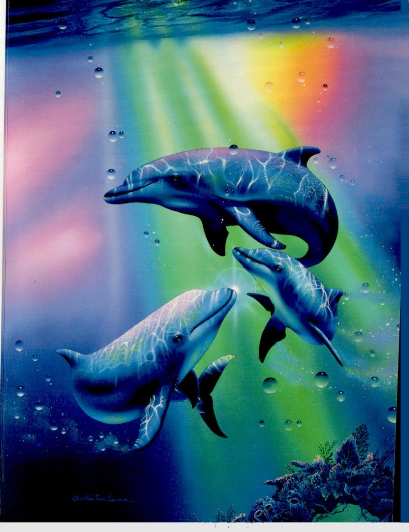 New VTG Leanin\' Tree BIRTHDAY Greeting Card Rainbow Dolphins Christian Lassen