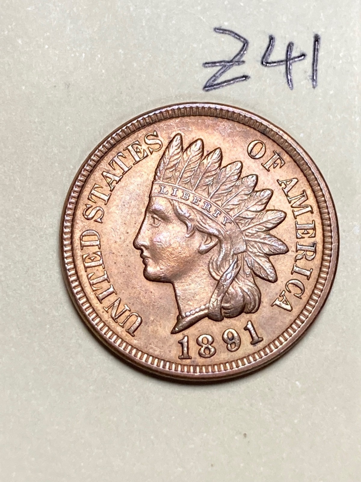 1891 Indian cent, coin #Z41 1891 Indian cent, coin #Z41