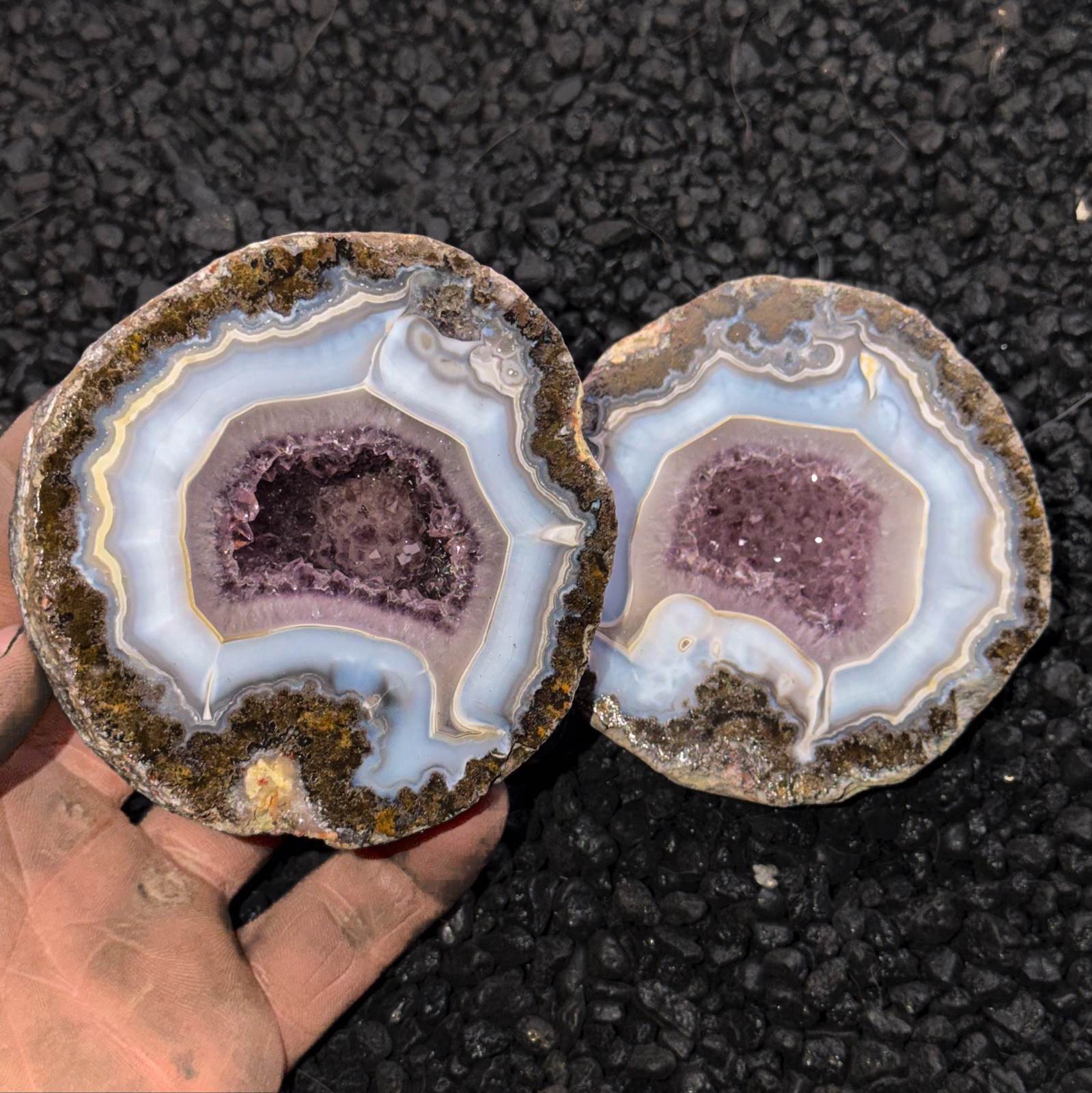 Killer Banded Amethyst Geode Las Choyas Coconut Geode Rare Top Shelf Pair Mexico
