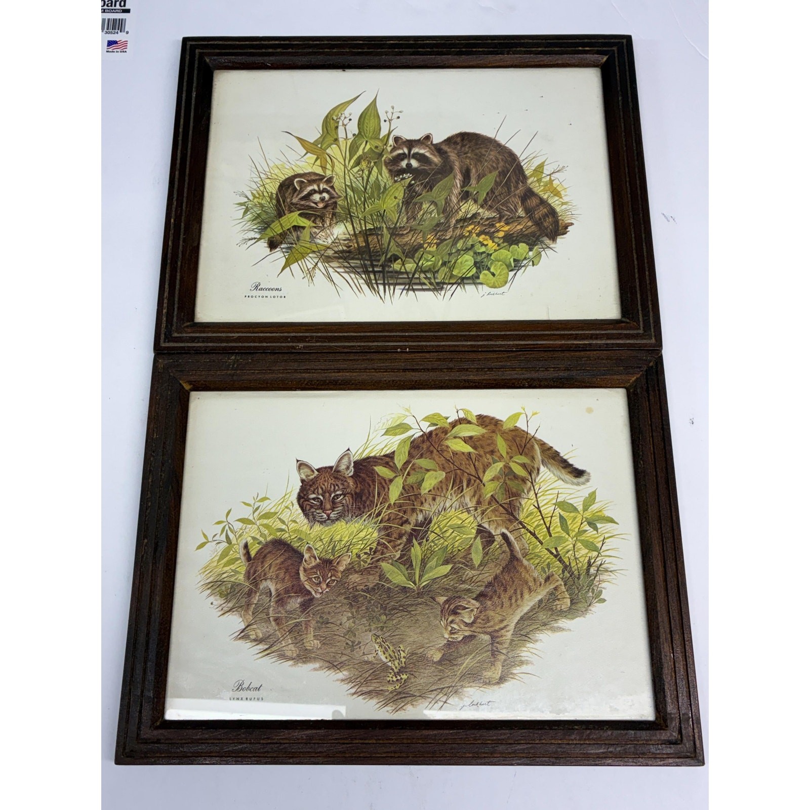 Vintage J Lockhart Wildlife Prints Set of 2 Framed Bobcat Raccoon Woodland Anima