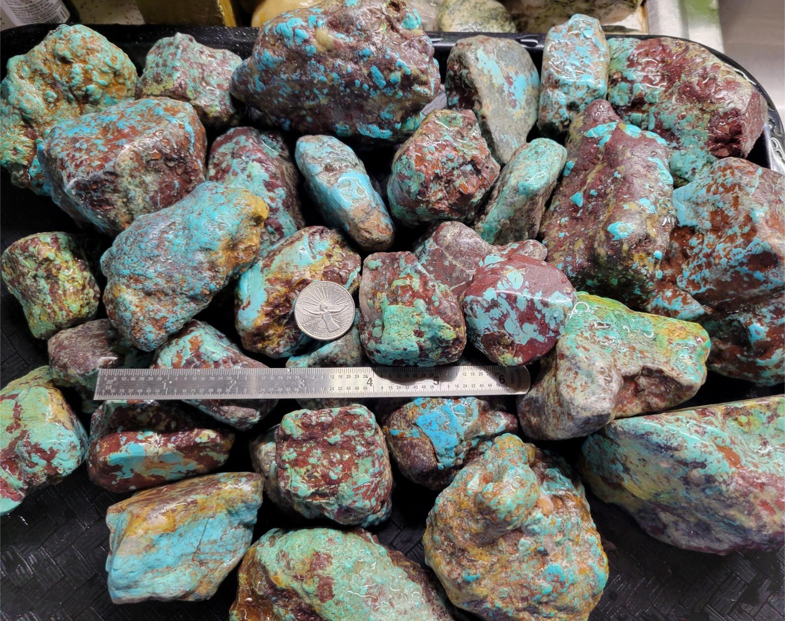 RARE Large Natural Bisbee Arizona Turquoise Rough Nuggets Half Pound RARE Large Natural Bisbee Arizona Turquoise Rough Nuggets Half Pound