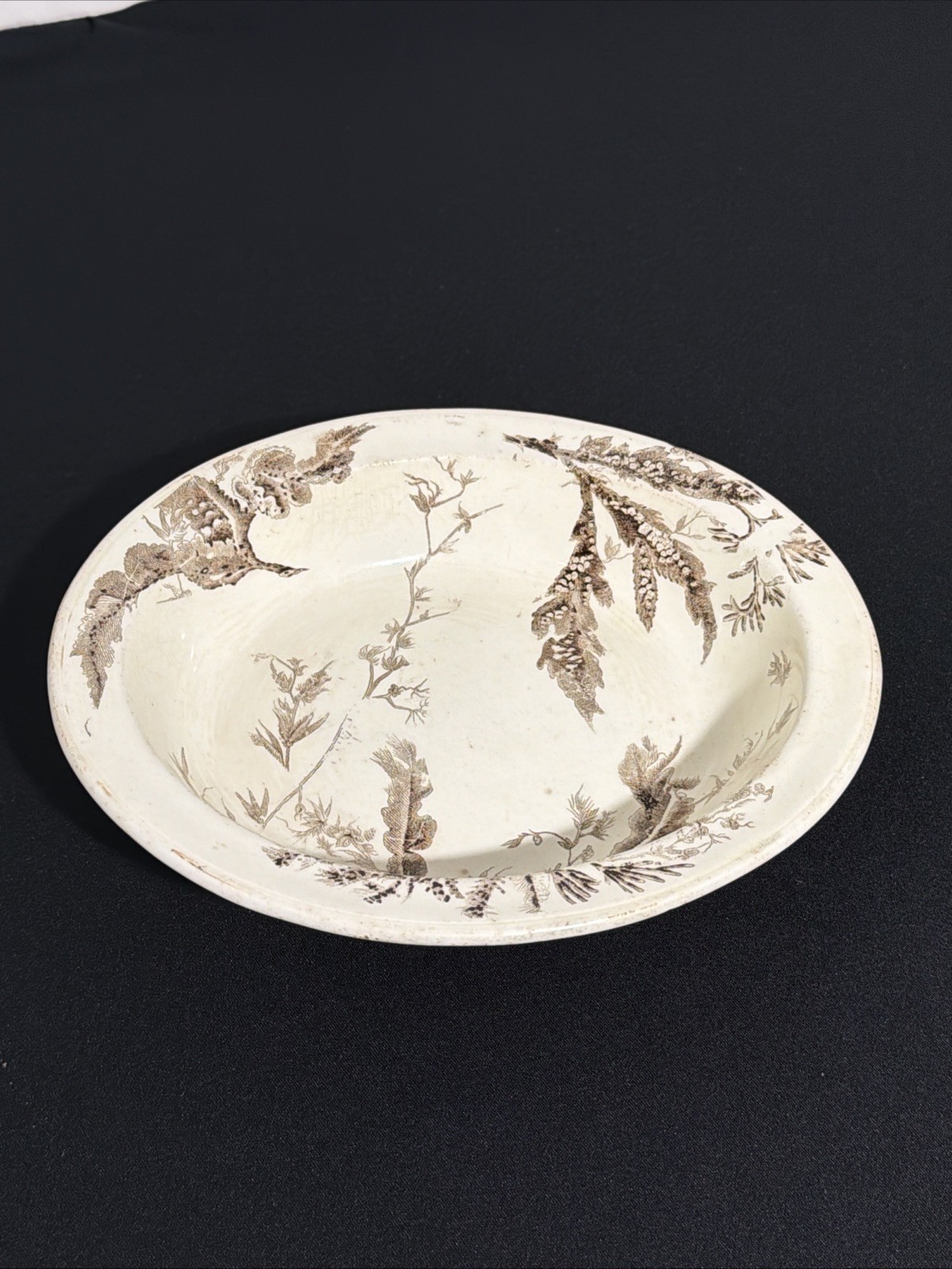 ANTIQUE 1882 Wedgwood - Transferware Oval Bowl - SEAWEED 8.75” X 7.25